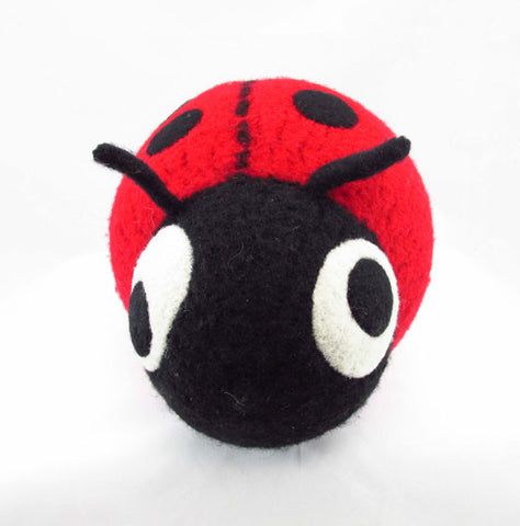 Ladybug