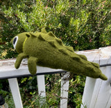 Alligator