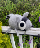 Raccoon