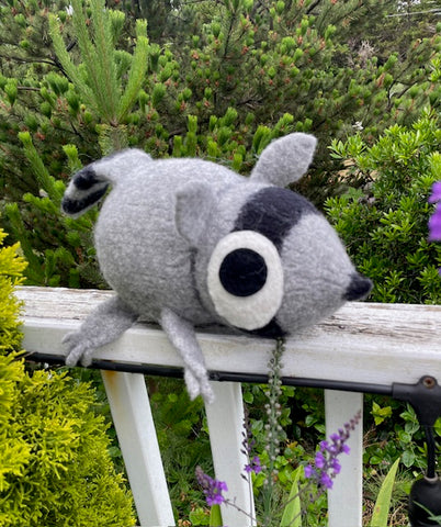 Raccoon