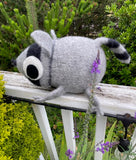 Raccoon
