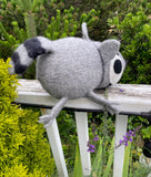 Raccoon