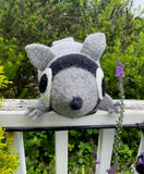 Raccoon